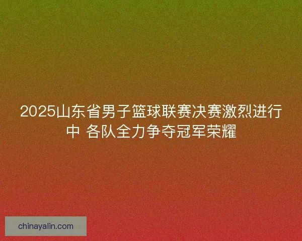 2025山东省男子篮球联赛决赛激烈进行中 各队全力争夺冠军荣耀